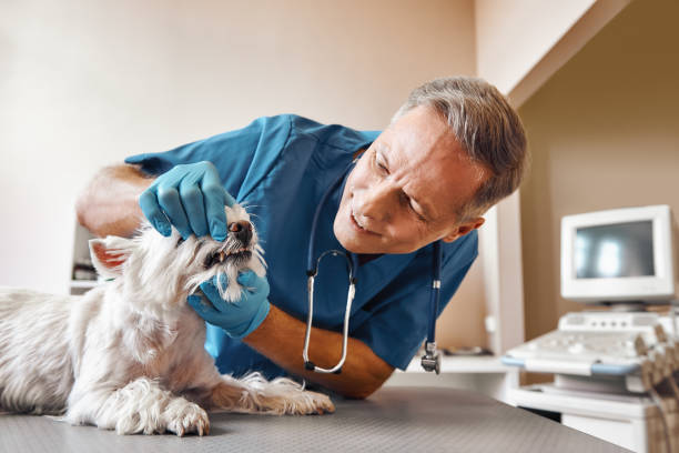 Best Walk-In Emergency Dentist in Stuart, FL